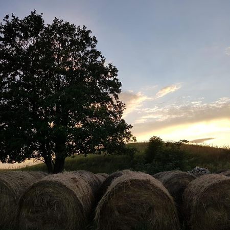 Zosienka Domki Wypoczynkowe Giżycko Exterior foto